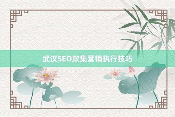 武汉SEO蚁集营销执行技巧