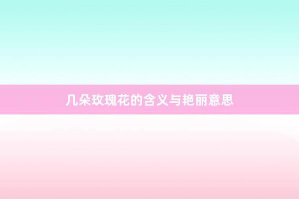 几朵玫瑰花的含义与艳丽意思