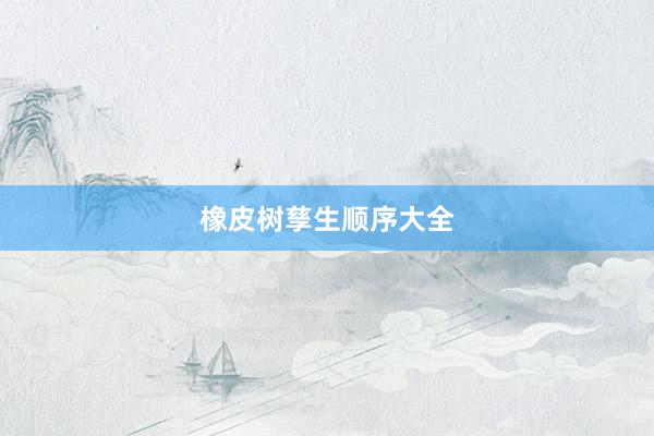 橡皮树孳生顺序大全
