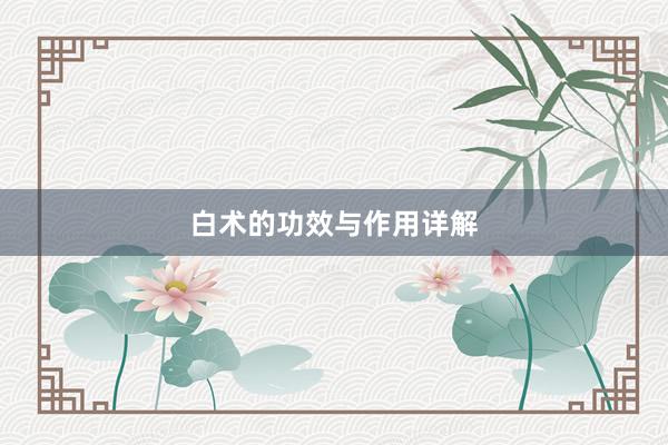 白术的功效与作用详解